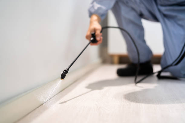 Licensed Termite Control service in Crossville, AL - Nex Pest Control