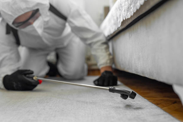 Professional Termite Control technician working in Crossville, AL