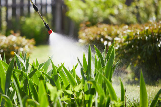 24/7 Emergency Termite Control experts in Crossville, AL