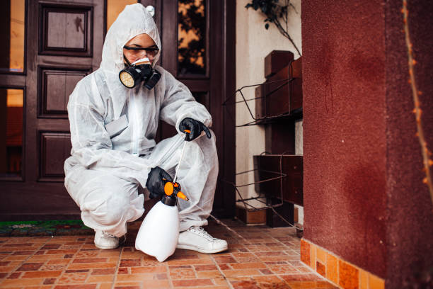 Reliable Termite Control contractor in Crossville, AL by Nex Pest Control