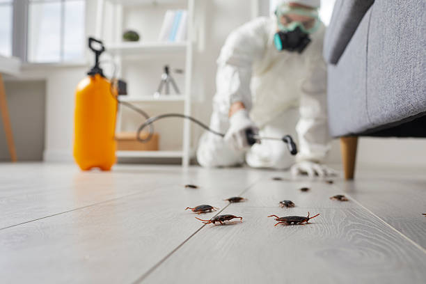 Affordable Termite Control solutions in Crossville, AL